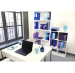 Boite de classement en polypropylène dos 25mm iderama pp - a4 - violet - x 4 - exacompta