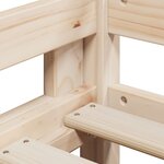 vidaXL Lit superposé avec toit 80x200 cm bois de pin massif