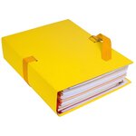 Chemise Dos Extensible Papier 24x32cm - Filmée Par 5 - Jaune - X 25 - Exacompta