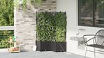 Jardinières vidaXL avec système d'irrigation 3 Pièces Noir