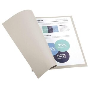 Paquet de 100 chemises 170 g EXACOMPTA gris