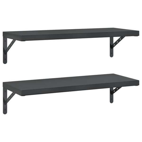 vidaXL Étagères murales 2 Pièces 75x30 cm noir acier inoxydable