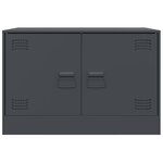 vidaXL Meuble TV anthracite 67x39x44 cm acier