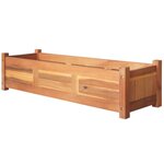 vidaXL Lits surélevés de jardin 2 Pièces Bois d'acacia 100x30x25 cm