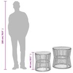vidaXL Tables d'appoint de jardin 2Pièces dessus en bois beige poly rotin