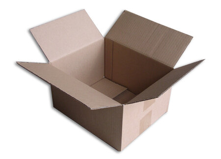 Lot de 25 Boîtes carton (N°22) format 250x200x140 mm