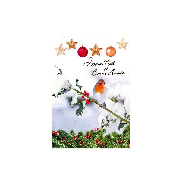 Carte De Voeux - Joyeux Noel Bonne Année Rouge Gorge