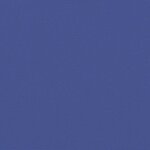 vidaXL Auvent latéral rétractable bleu 180x300 cm