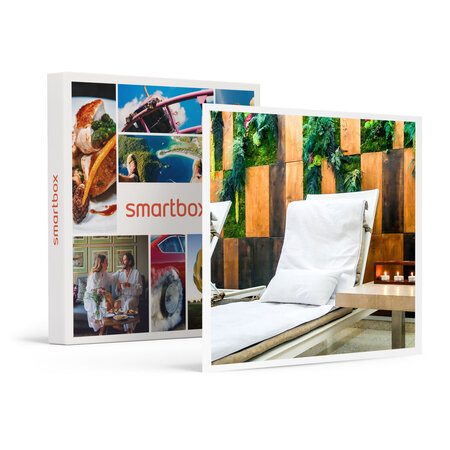 SMARTBOX - Coffret Cadeau 1h d’accès au Spa by Sothys en hôtel 4* avec massage ayurvédique près de Paris -  Bien-être