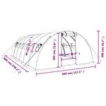 vidaXL Serre avec cadre en acier vert 24 m² 6x4x2 m