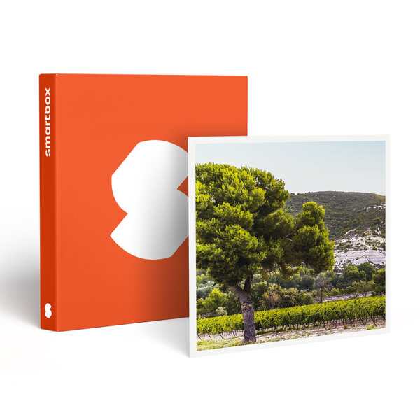 SMARTBOX - Coffret Cadeau Box œnologie : 6 bouteilles de vin rosé livrées à domicile - Gastronomie