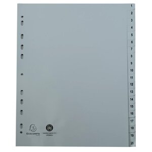 Intercalaires Imprimés Numériques Pp Gris Recyclé 20 Positions - A4 - Gris - Exacompta