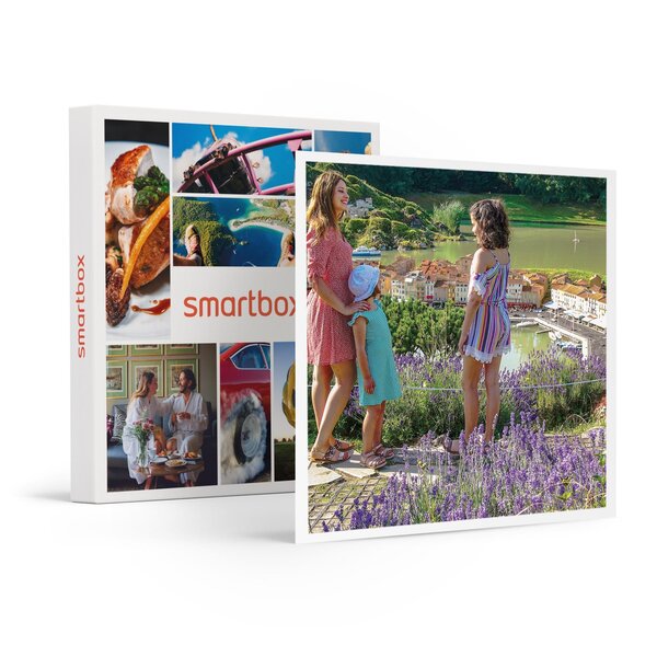 SMARTBOX - Coffret Cadeau Journée découverte au parc France Miniature pour 2 adultes et 1 enfant -  Multi-thèmes