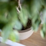Capi Pot à fleurs Waste Smooth 35x34 cm Beige terrazzo