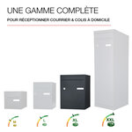 Boite à colis Atout 1 porte Noir Sablé RAL 2100MS