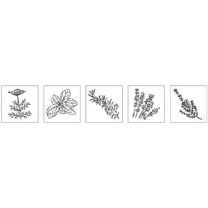 Kit mini - tampons bois:Herbes aromatiques  5 pces 2x2x2 5cm+accessoires / bte