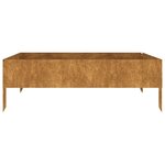 vidaXL Lit surélevé de jardin 100x100x33 5 cm acier corten