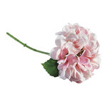 Hortensia Rosé 33cm