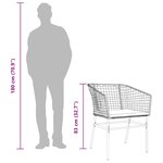 vidaXL Chaises de jardin lot de 2 et coussins marron rotin