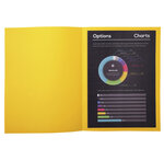 Paquet De 100 Chemises Rock''s 210 - 24x32cm - Jaune Citron - Exacompta