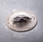 Pièce de monnaie en Argent 25 Dollars g 155.5 (5 oz) Millésime 2022 7 Summits MT VINSON