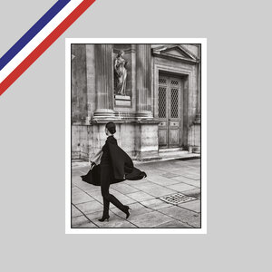 Carte peter turnley - le louvre  2022