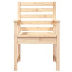 vidaXL Chaises de jardin 2 Pièces 60x48x91 cm bois massif de pin