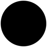 vidaXL Couverture de piscine Noir 300 cm PE