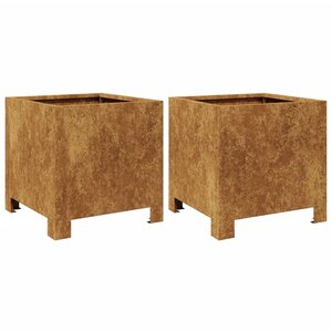 vidaXL Jardinières 2 Pièces 30x30x30 cm acier corten