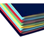 Trieur rigide Ordonator dos extensible 12 compartiments Noir EXACOMPTA