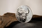 Pièce de monnaie en Argent 2000 Torog g 93.3 (3 oz) Millésime 2025 Wild Mongolia BISON