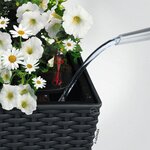 LECHUZA Jardinière BALCONERA Cottage 50 ALL-IN-ONE Granite