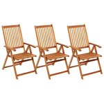 vidaXL Chaises pliables de jardin 3 Pièces avec coussins Bois d'acacia