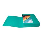 Boite De Classement Exabox Dos 60mm Carte Lustrée Scotten - A4 - Vert - X 10 - Exacompta