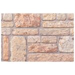 vidaXL Panneaux muraux 3D 10 Pièces marron 100x50 cm EPS