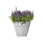 Vibia Campana Bac à fleurs Carré 37 - Gris Ø 36 x 36 cm