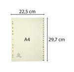 Intercalaires Imprimés Carte Peau 155g 20 Positions De A À Z - A4 - Ivoire - X 10 - Exacompta