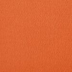 vidaXL Auvent latéral pliable de terrasse Terre cuite 400 x 200 cm