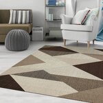Tapis de salon MIRAN 120 x 180 cm - Marron