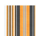 vidaXL Tissu de remplacement pour auvent rayures multicolores 5x3 m