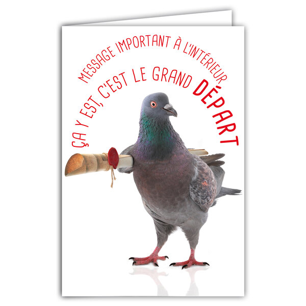 Carte DÉPART vers de Nouvelles Aventures Message Humoristique avec Enveloppe Illustrée format 17 5x12cm Pigeon Drôle Amusant Rigolo - Déménagement ou Retraite - Création Fabrication française 69-6224