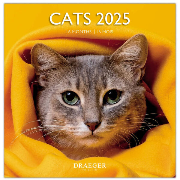 Grand Calendrier Mural 29x29 Cm - 2025 - Chats - Draeger paris