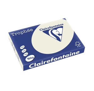 Ramette 250 Feuilles Papier 160g A3 420x297 mm Certifié FSC GRIS PERLE CLAIREFONTAINE