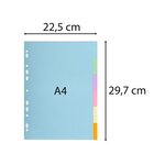Intercalaires Carte Pastel 170g Forever 6 Positions - A4 - Couleurs Assorties - X 50 - Exacompta