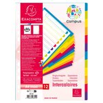 Intercalaires En Polypropylène 12 Positions Campus - A4 Maxi - Translucide - X 15 - Exacompta