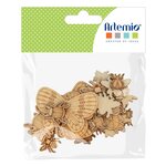 Set 35 Silhouettes Insectes Bois