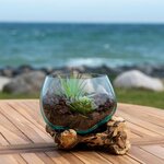 Goutte d'eau en teck et verre 15 cm