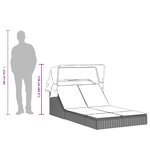 vidaXL Chaise longue double et auvent et coussins gris résine tressée