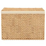 vidaXL Panier à linge avec 3 sections 75x42 5x52 cm hyacinthe d'eau