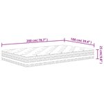 vidaXL Matelas à ressorts ensachés moyen 100x200 cm